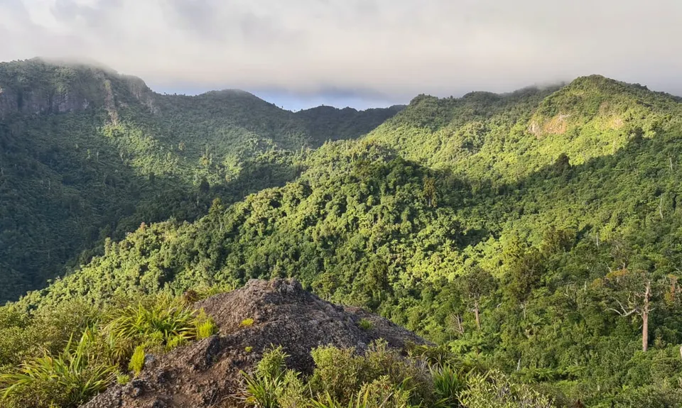 Pirongia Loop of Awesomeness, Waikato