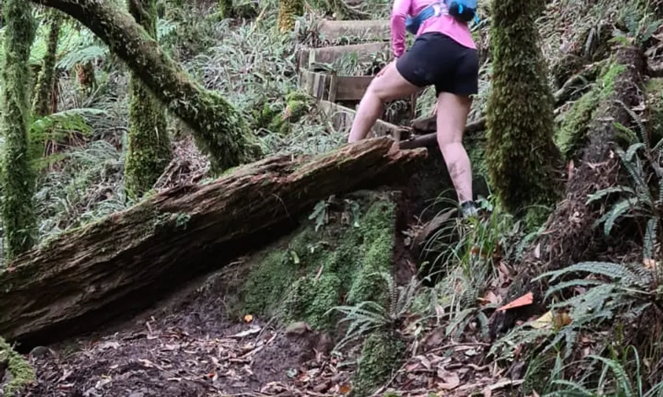 Pirongia Loop of Awesomeness, Waikato