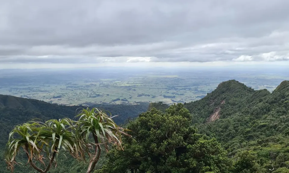 Pirongia Loop of Awesomeness, Waikato