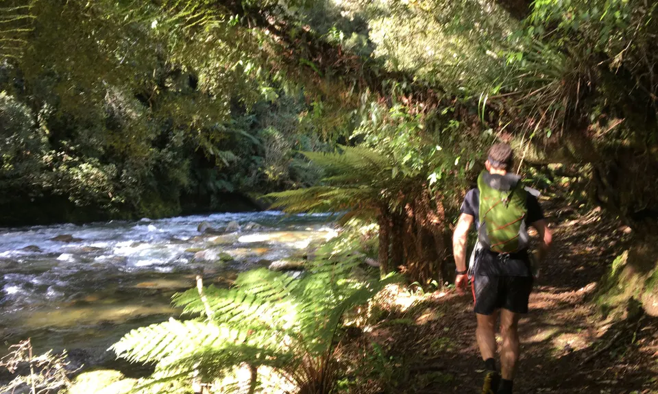 Whirinaki Long Loop, Bay of Plenty