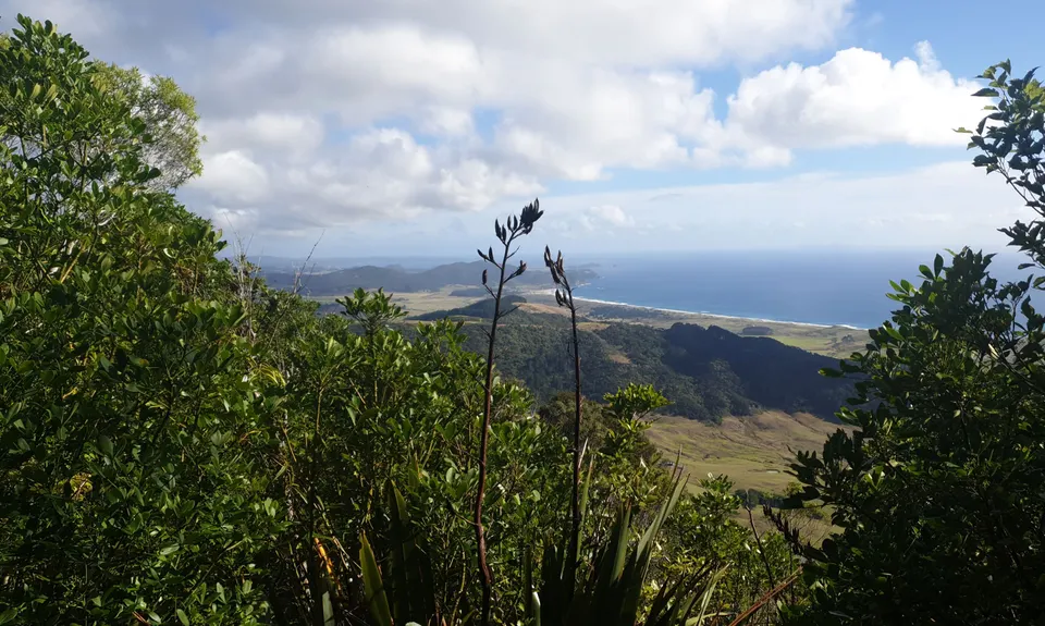 1100 Steps to WOW!, Northland