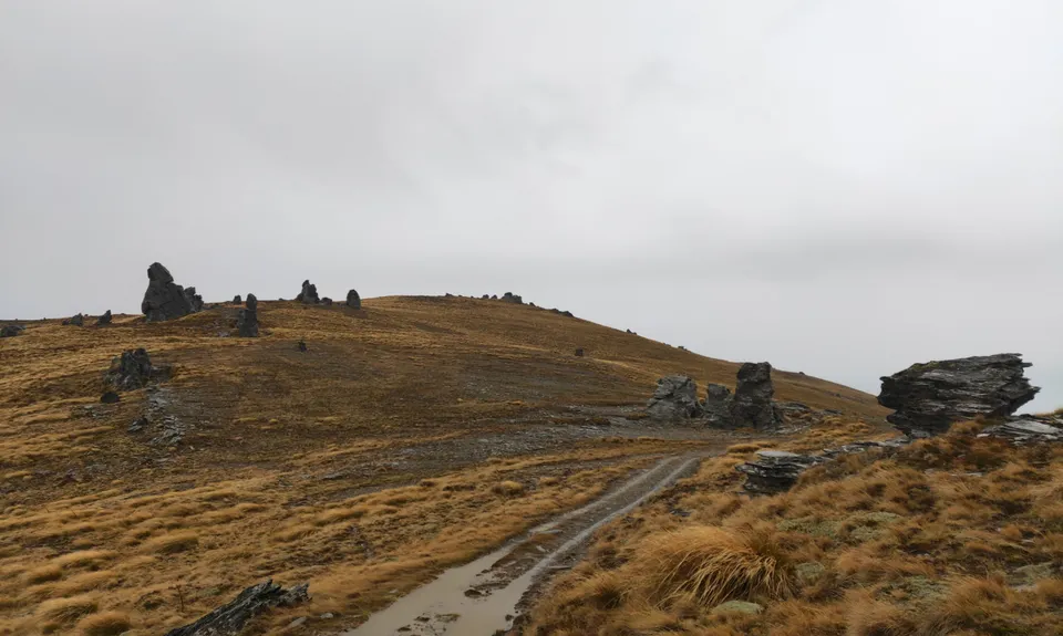 Lauder Creek Basin Conservation Area, Otago