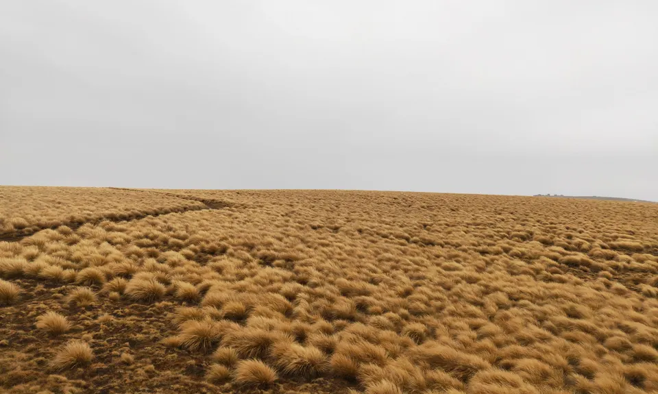 Lauder Creek Basin Conservation Area, Otago