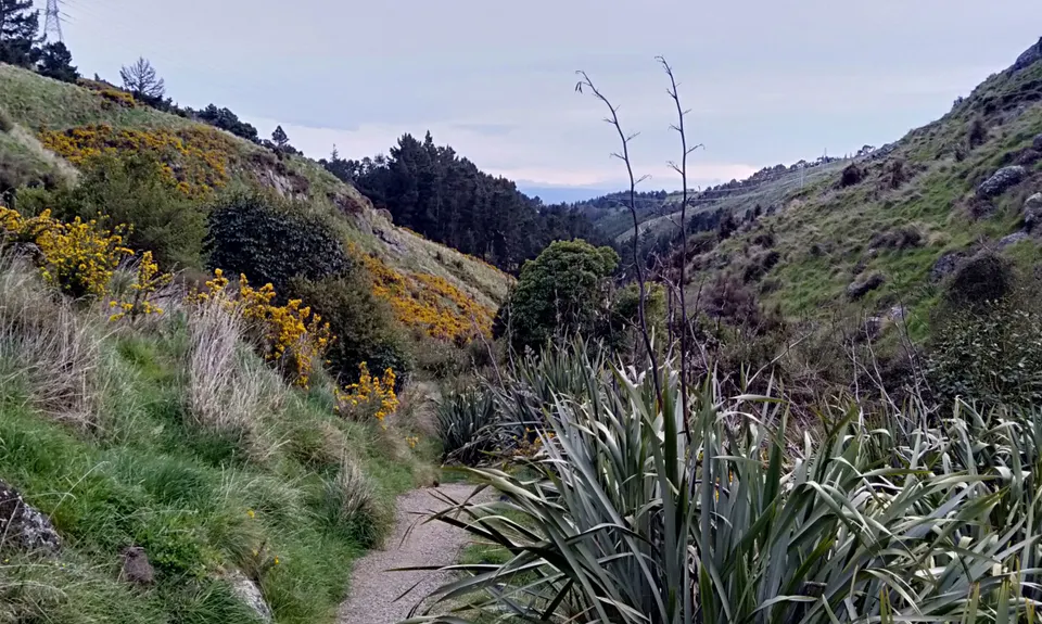 Bowenvale / Huntsbury Loop, Canterbury