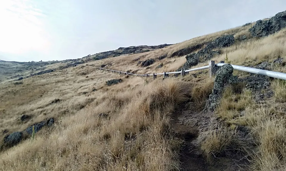 The Pipeline of Pain, Canterbury