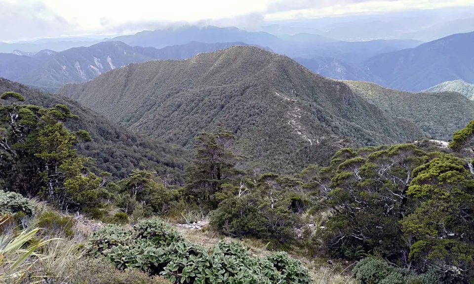 The Old Ghost Road, West Coast