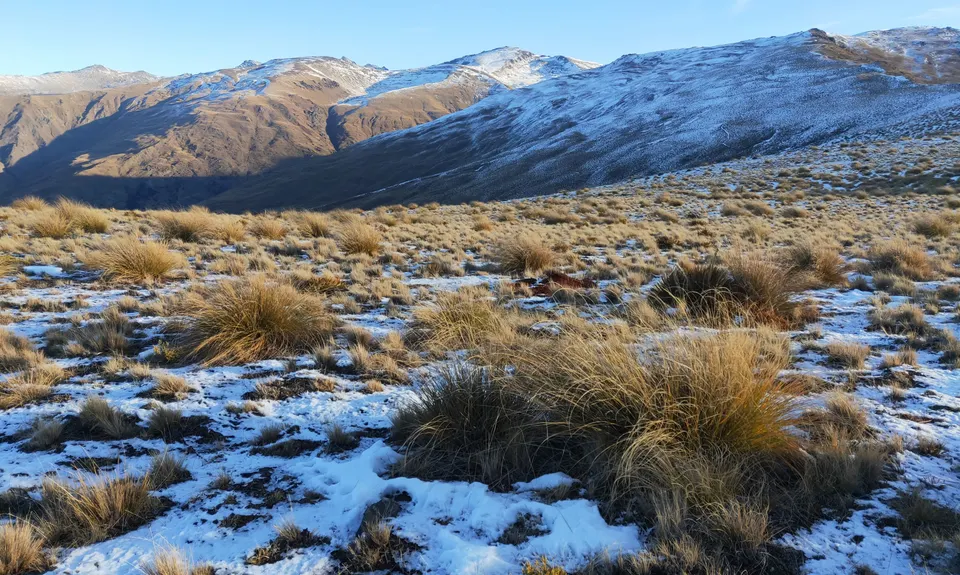 Glenroy Water Race Track, Otago