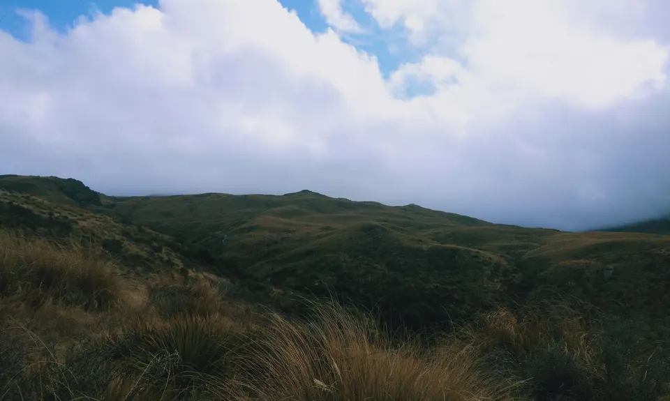 Rock and Pillars Loop , Otago