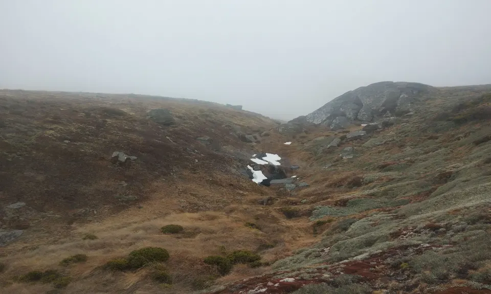 Rock and Pillars Loop , Otago