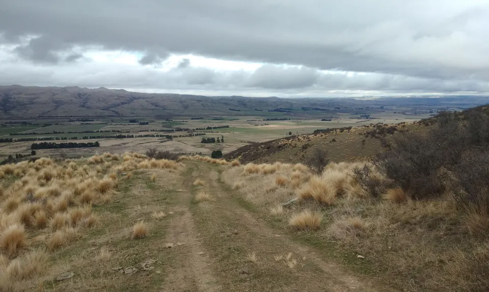 Rock and Pillars Loop , Otago
