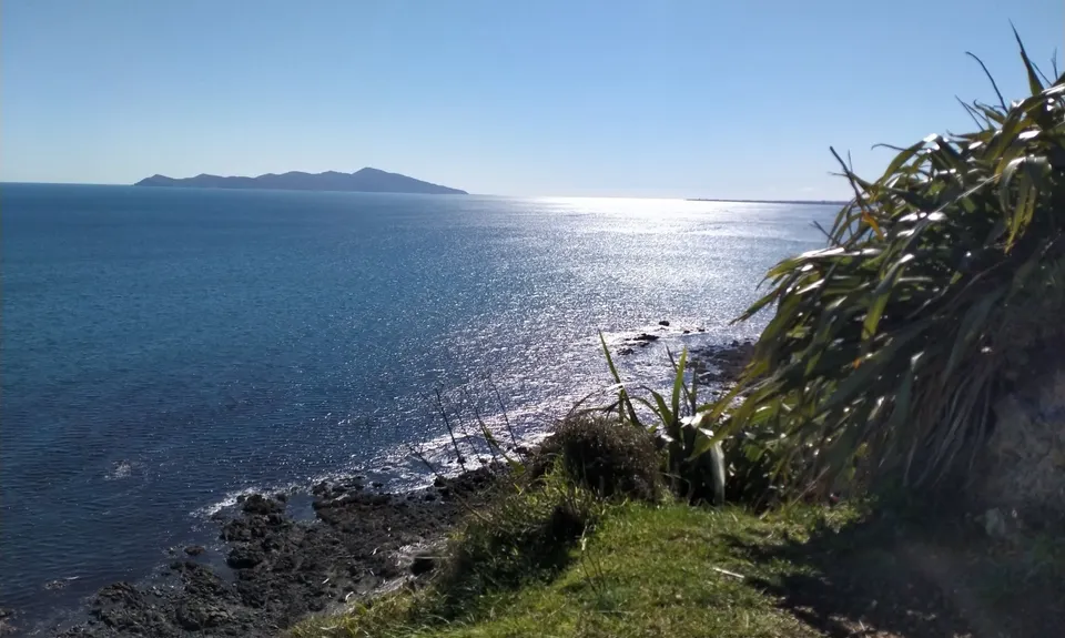 Escarpment Track, Wellington
