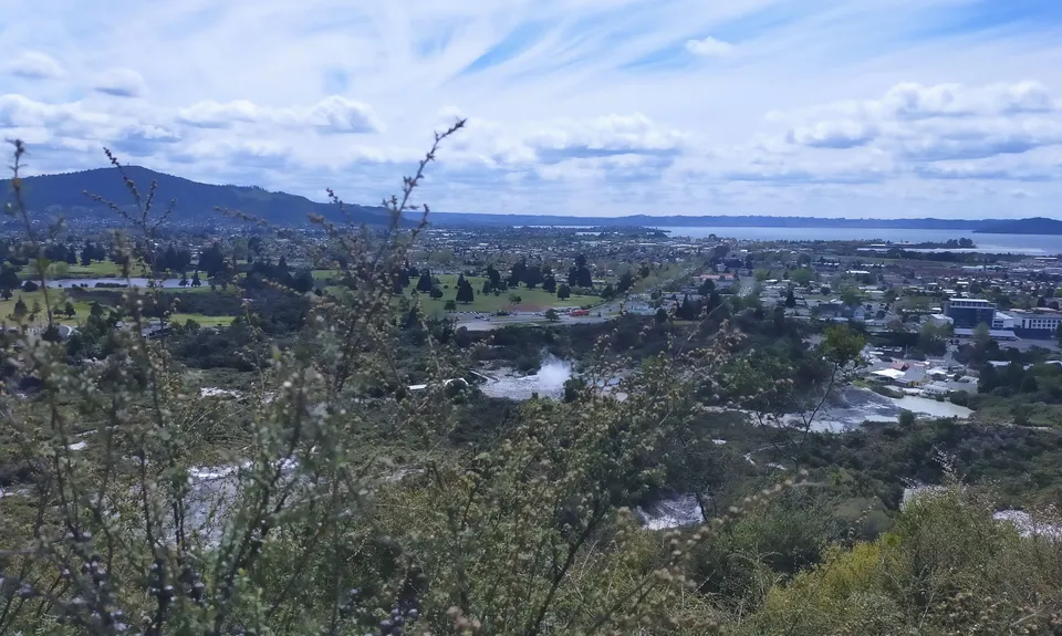 Pohaturoa Track, Bay of Plenty