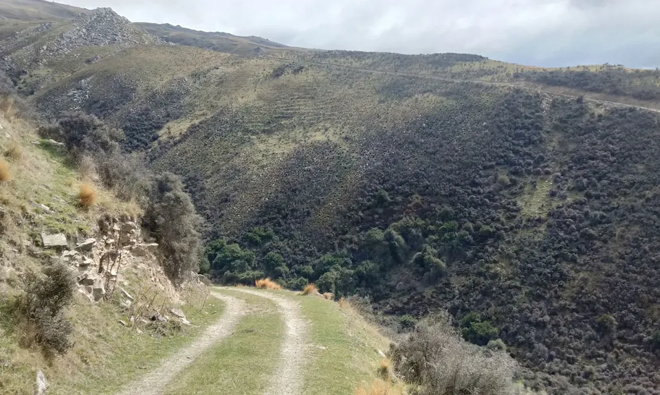 Rock and Pillars Loop , Otago