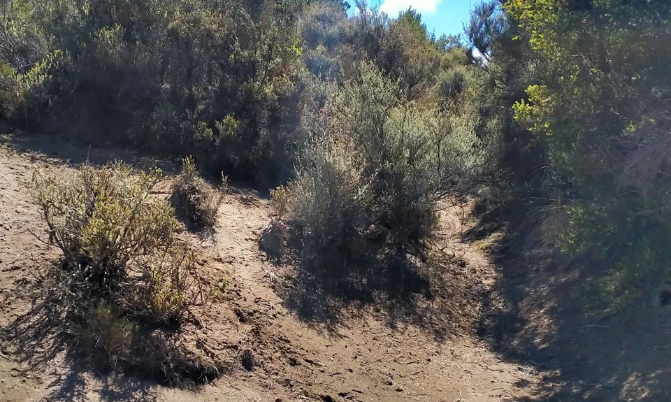 Eastern Tongariro, Manawatu - Wanganui