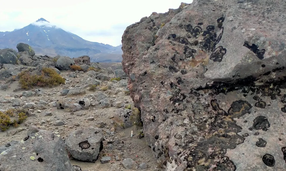 Eastern Tongariro, Manawatu - Wanganui