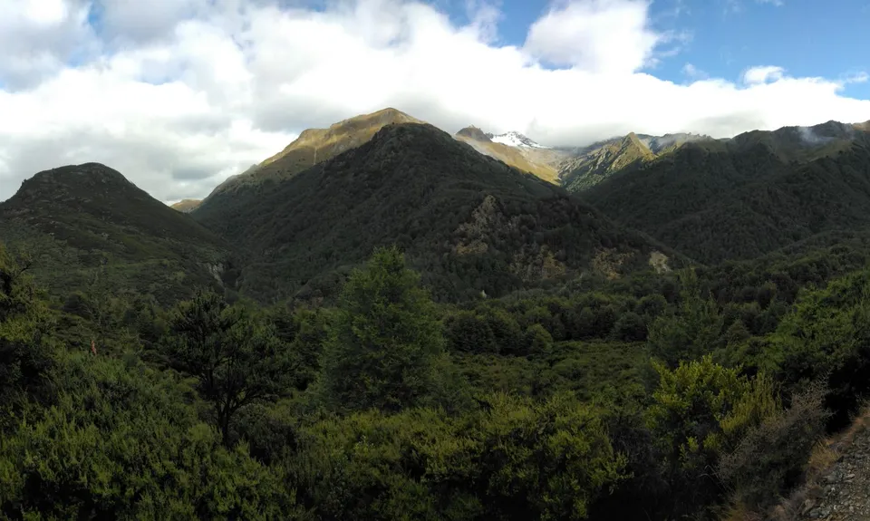 Mt. Crichton Loop, Otago