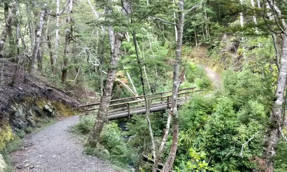 Mt. Crichton Loop, Otago