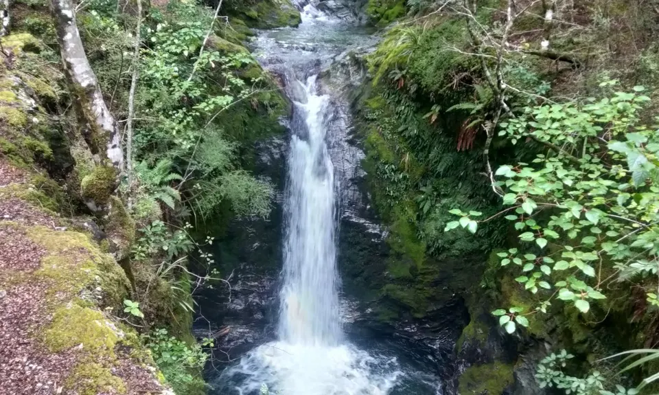 Mt. Crichton Loop, Otago