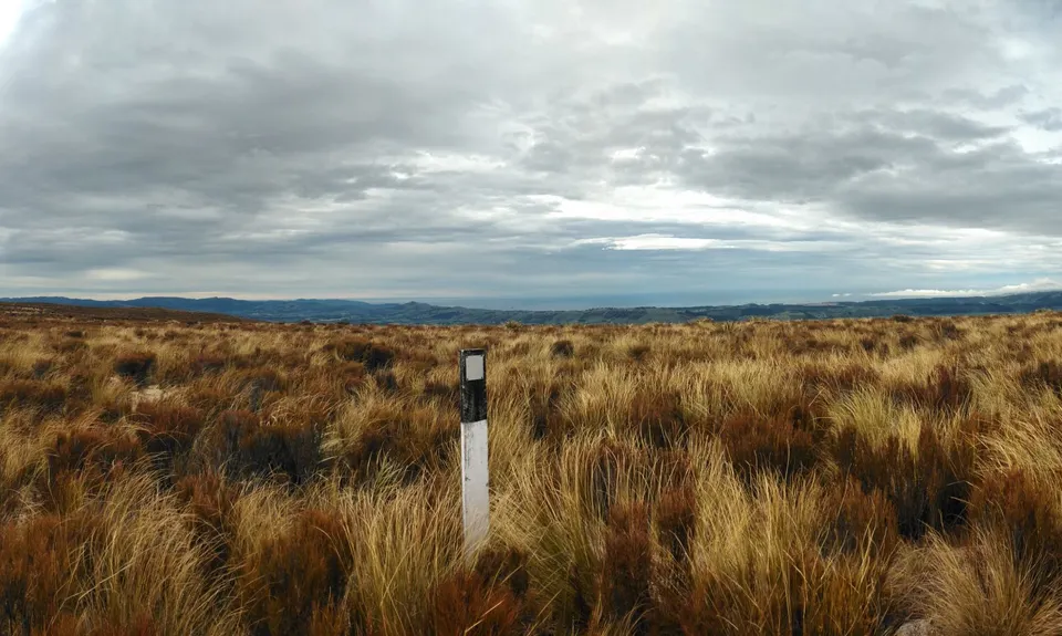 Maungatua