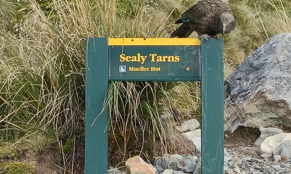 Mueller Hut, Canterbury