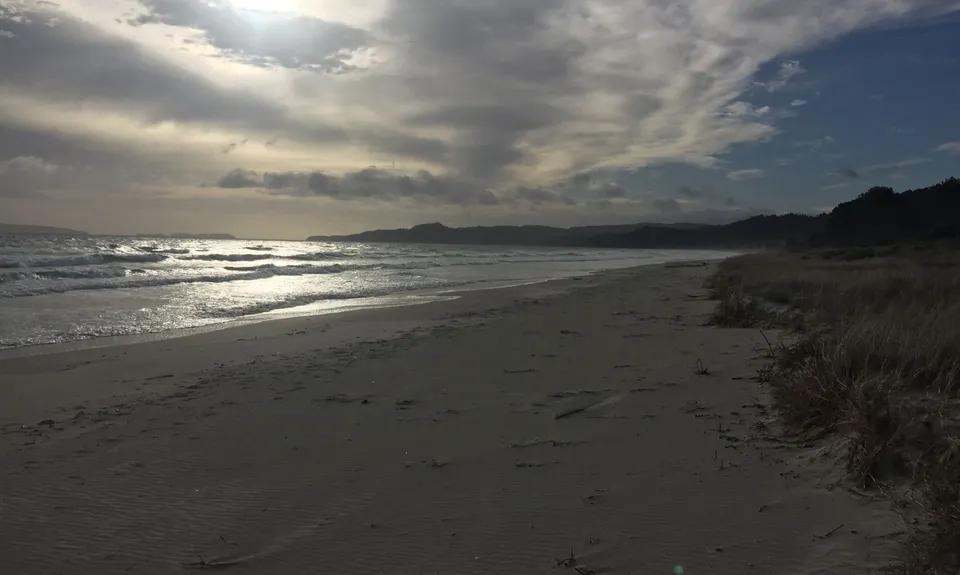 Matarangi & Rings Beach Loops, Waikato