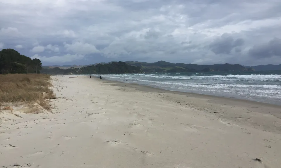 Matarangi & Rings Beach Loops, Waikato