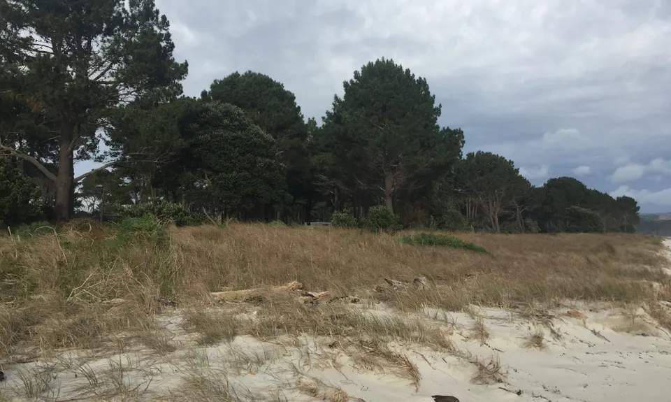 Matarangi & Rings Beach Loops, Waikato