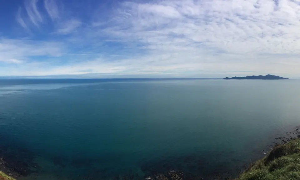 Escarpment Track, Wellington