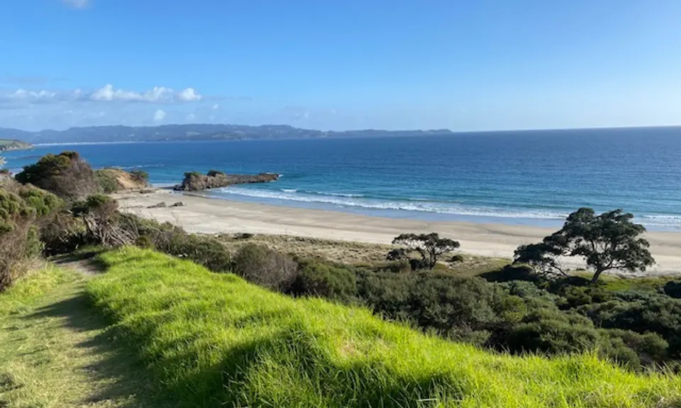Tawharanui Loops, Auckland