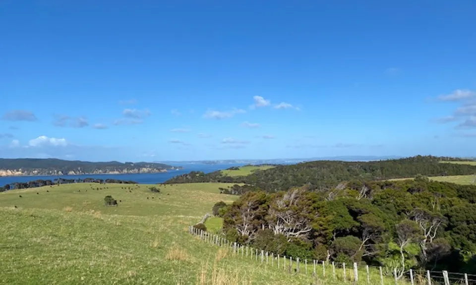 Tawharanui Loops, Auckland