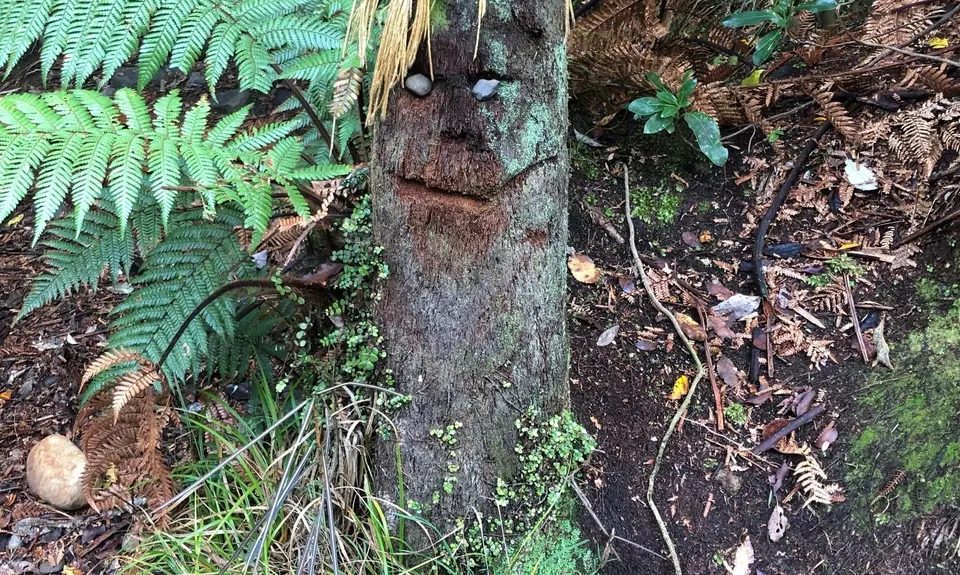 Te Aroha Killer Loop, Waikato