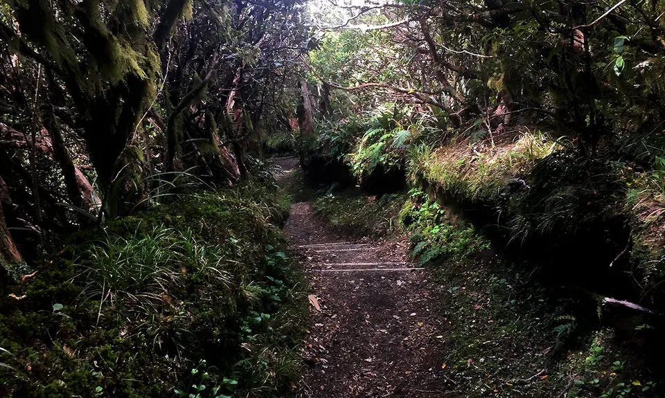 Tahurangi Traverse, Taranaki