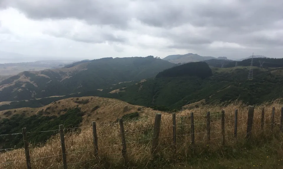 Perhams Road Loop, Wellington