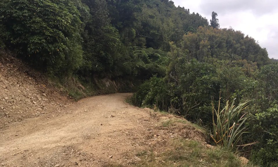 Perhams Road Loop, Wellington