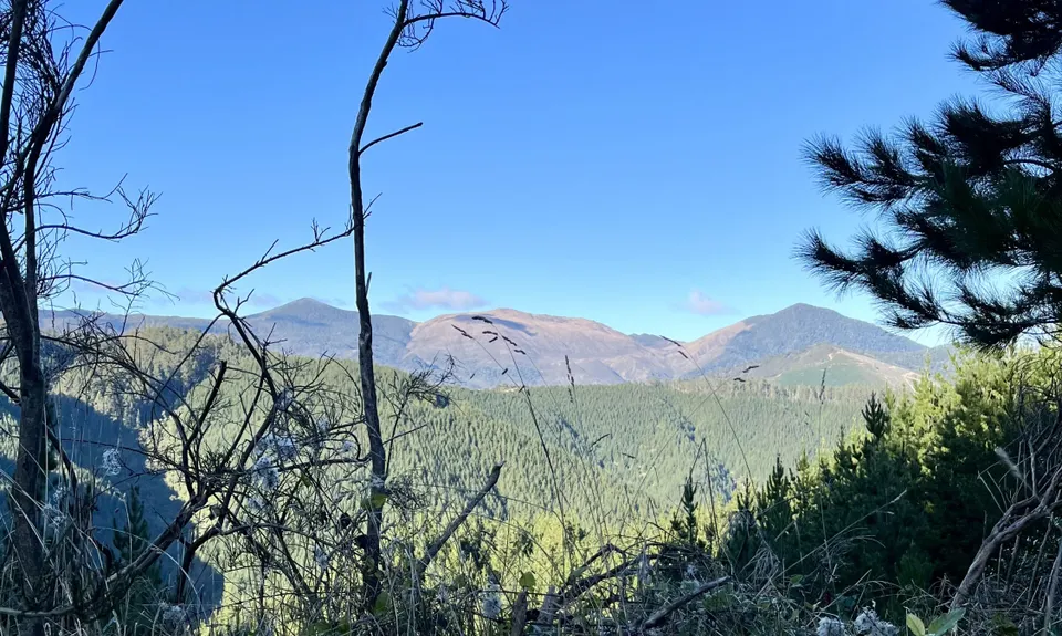 Sharlands-Central Road Loop, Nelson