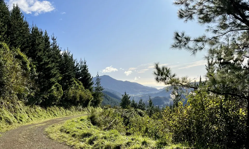 Sharlands-Central Road Loop, Nelson