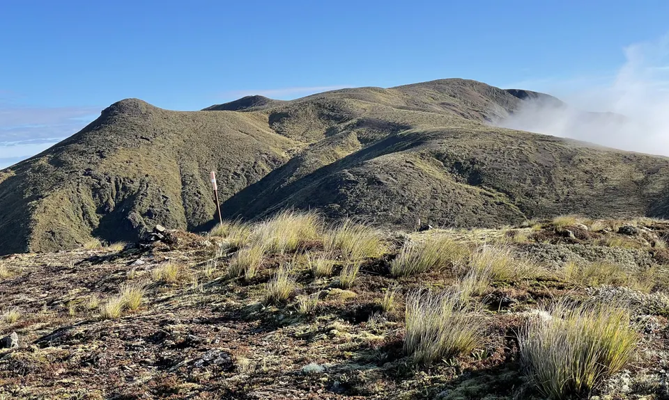 Kaweka Klassik, Hawkes Bay