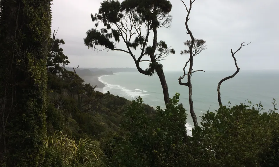 Okarito Majesty, West Coast