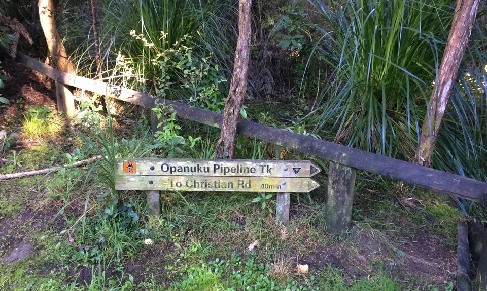 Pipeline Loop , Auckland