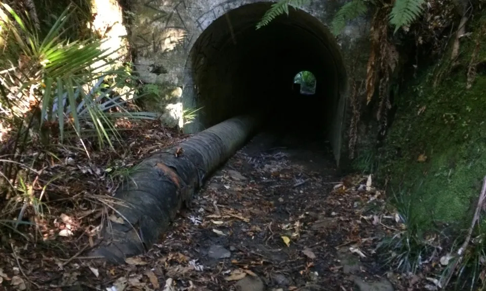 Pipeline Loop , Auckland