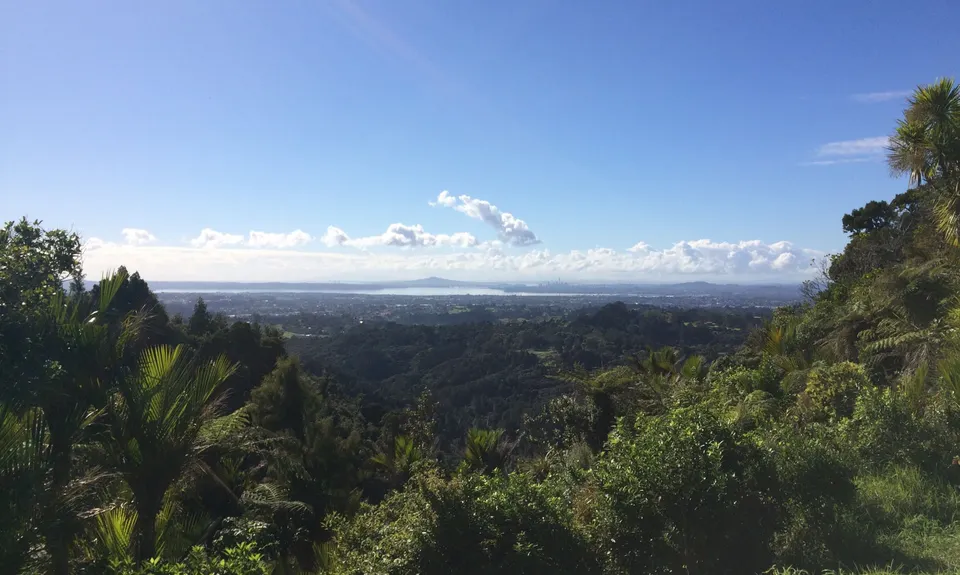 Pipeline Loop , Auckland