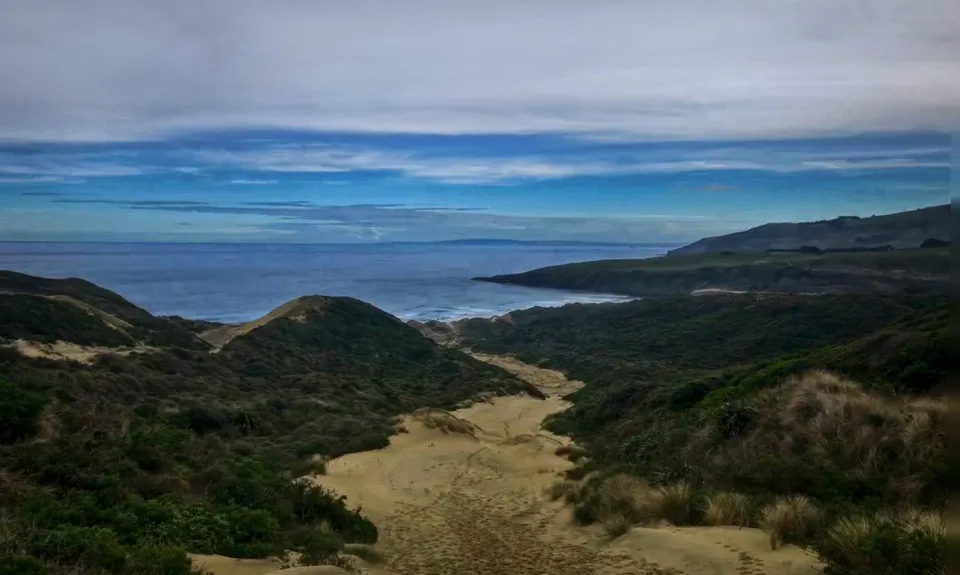Seal Point Rd to Sandymount, Otago