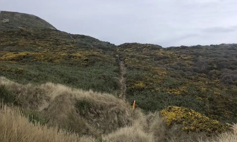 Seal Point Rd to Sandymount, Otago