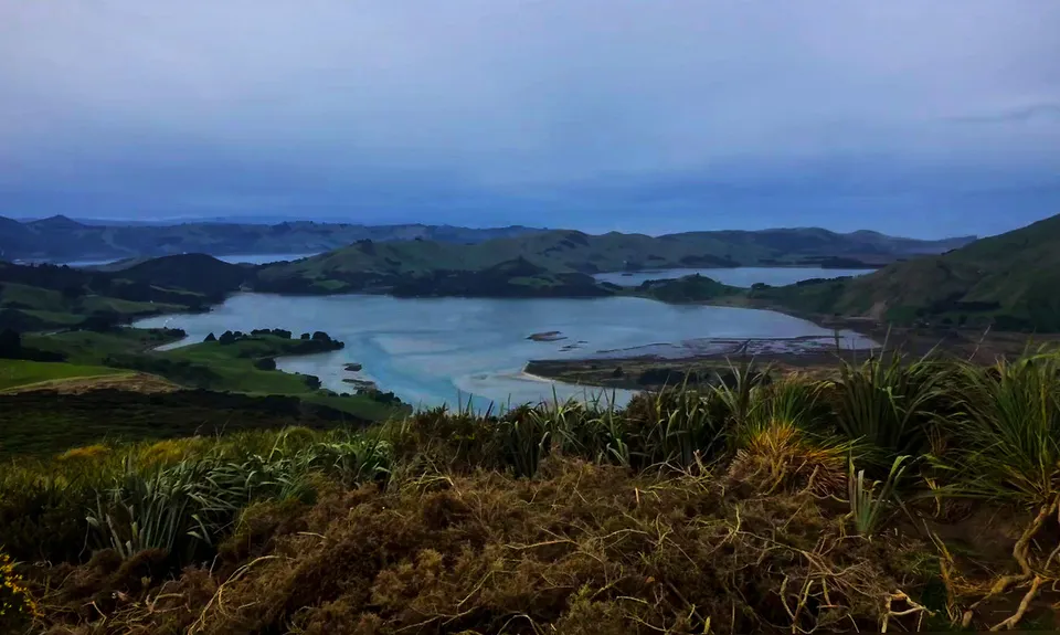 Seal Point Rd to Sandymount, Otago