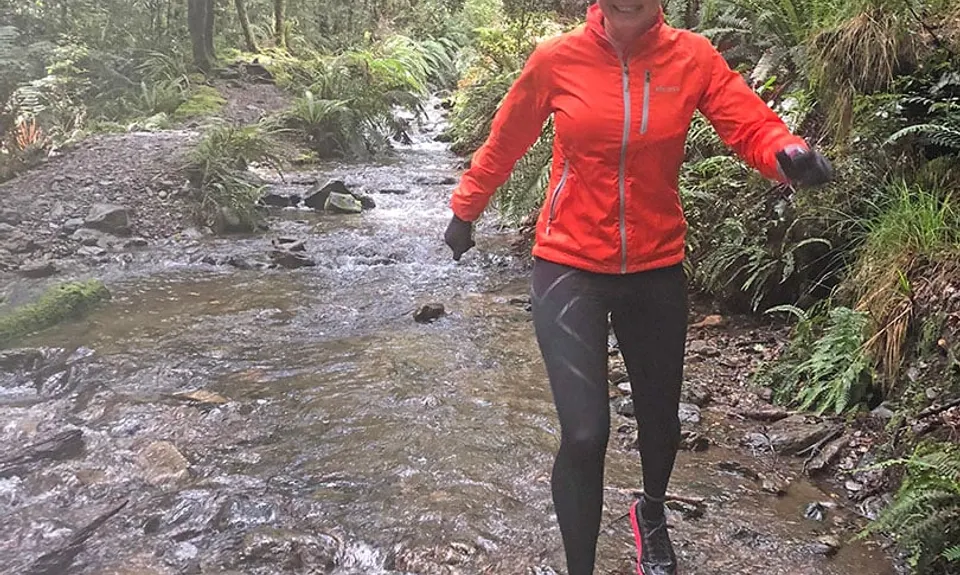 Pillars of Hercules , Waikato