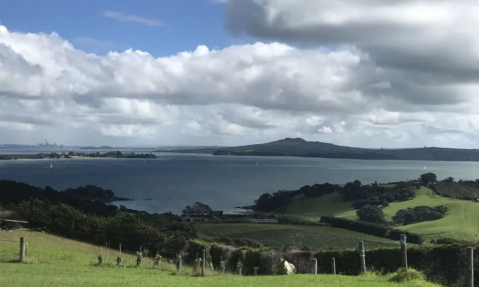 Waiheke Bush & Beach , Auckland