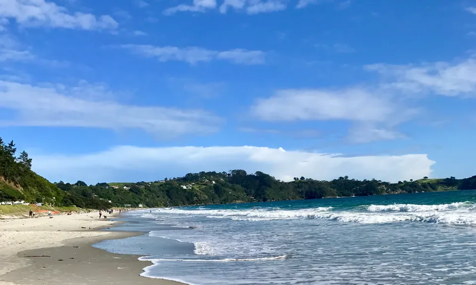 Waiheke Bush & Beach , Auckland