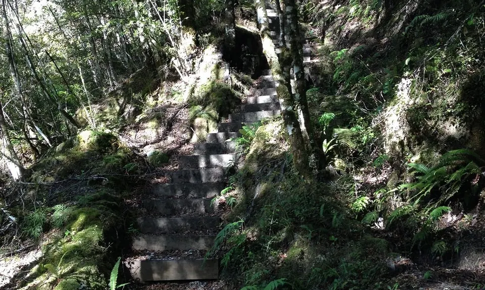 Lankeys Creek Loop, West Coast
