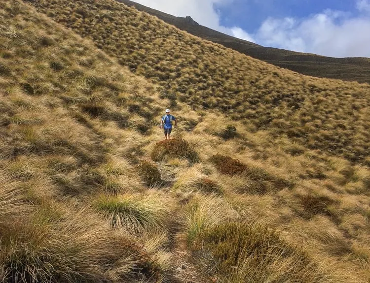 Moonlighting around Bowen Peak, Otago