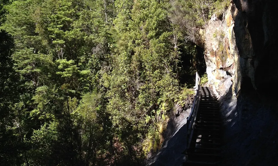 Lankeys Creek Loop, West Coast